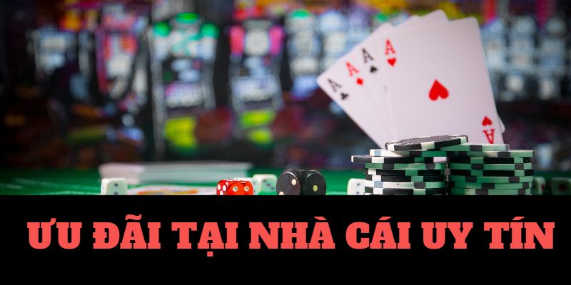 đá gà casino đá gà trực tiếp bên casino 🎰